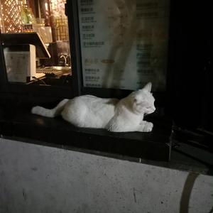 东北老头和老太还操逼
