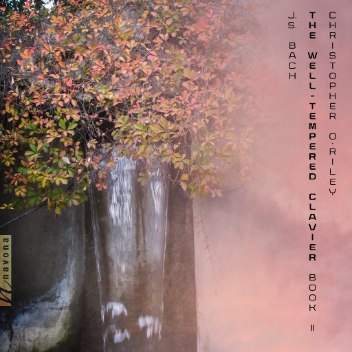 东北老头和老太还操逼
